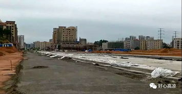 振奮 桂圓東路預(yù)計(jì)8月通車