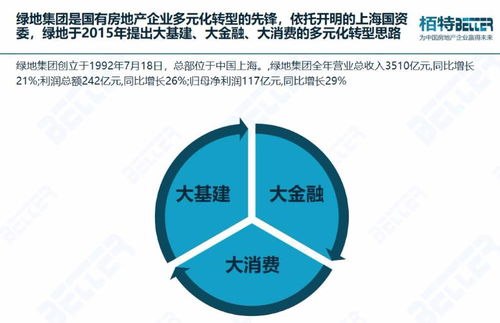 房地產(chǎn)多元化戰(zhàn)略轉(zhuǎn)型 在變革中重塑商業(yè)管理價(jià)值